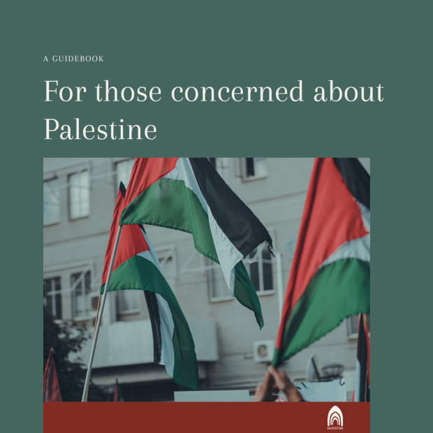 Guidebook for those concerned about Palestine 